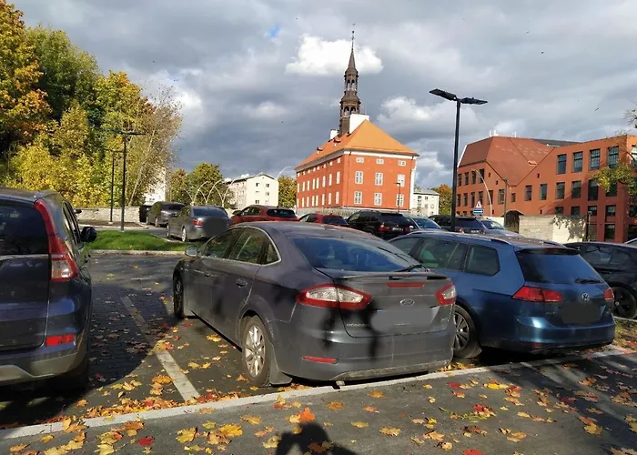 Down Town شقة نارفا